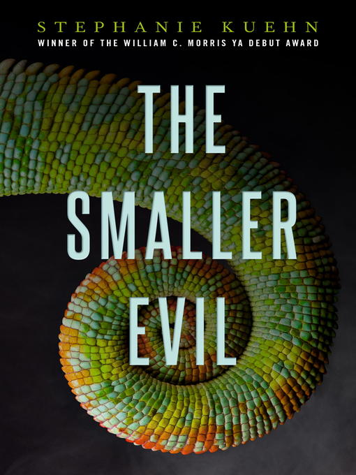Title details for The Smaller Evil by Stephanie Kuehn - Available